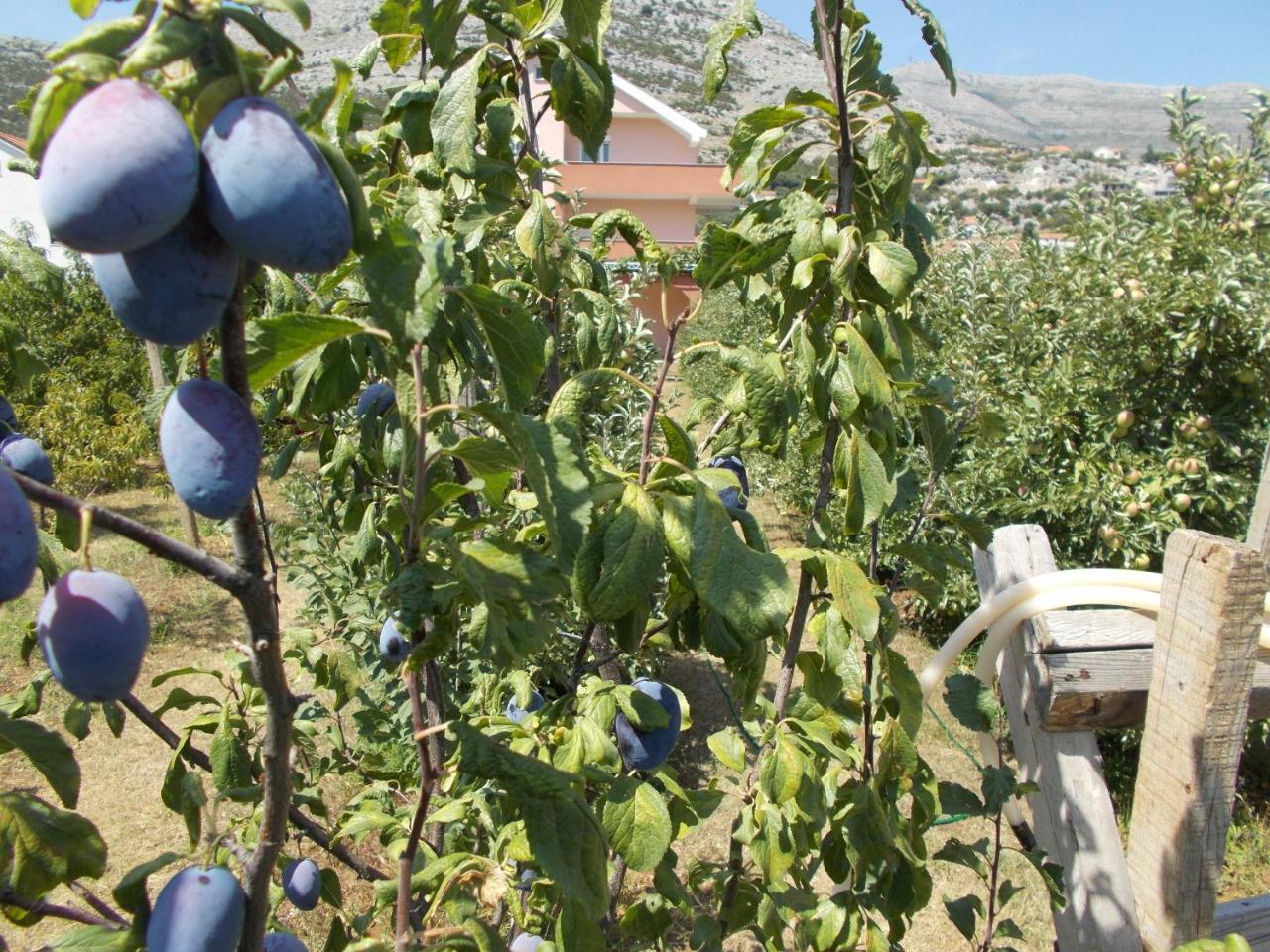 Apartmani Slado Trebinje Buitenkant foto